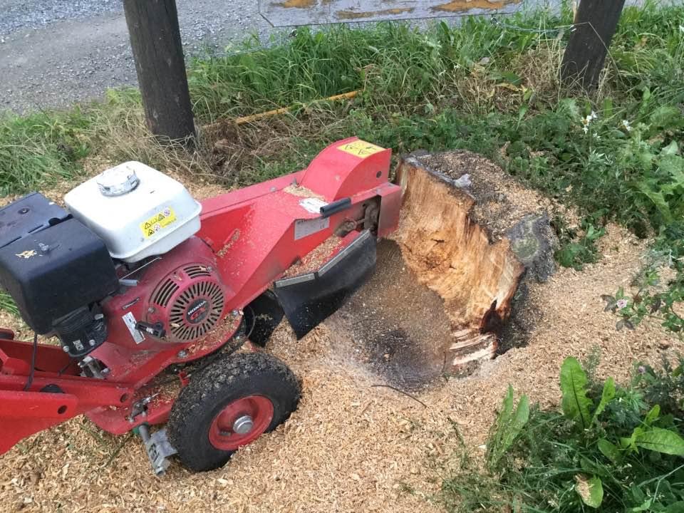 Stump grinding work